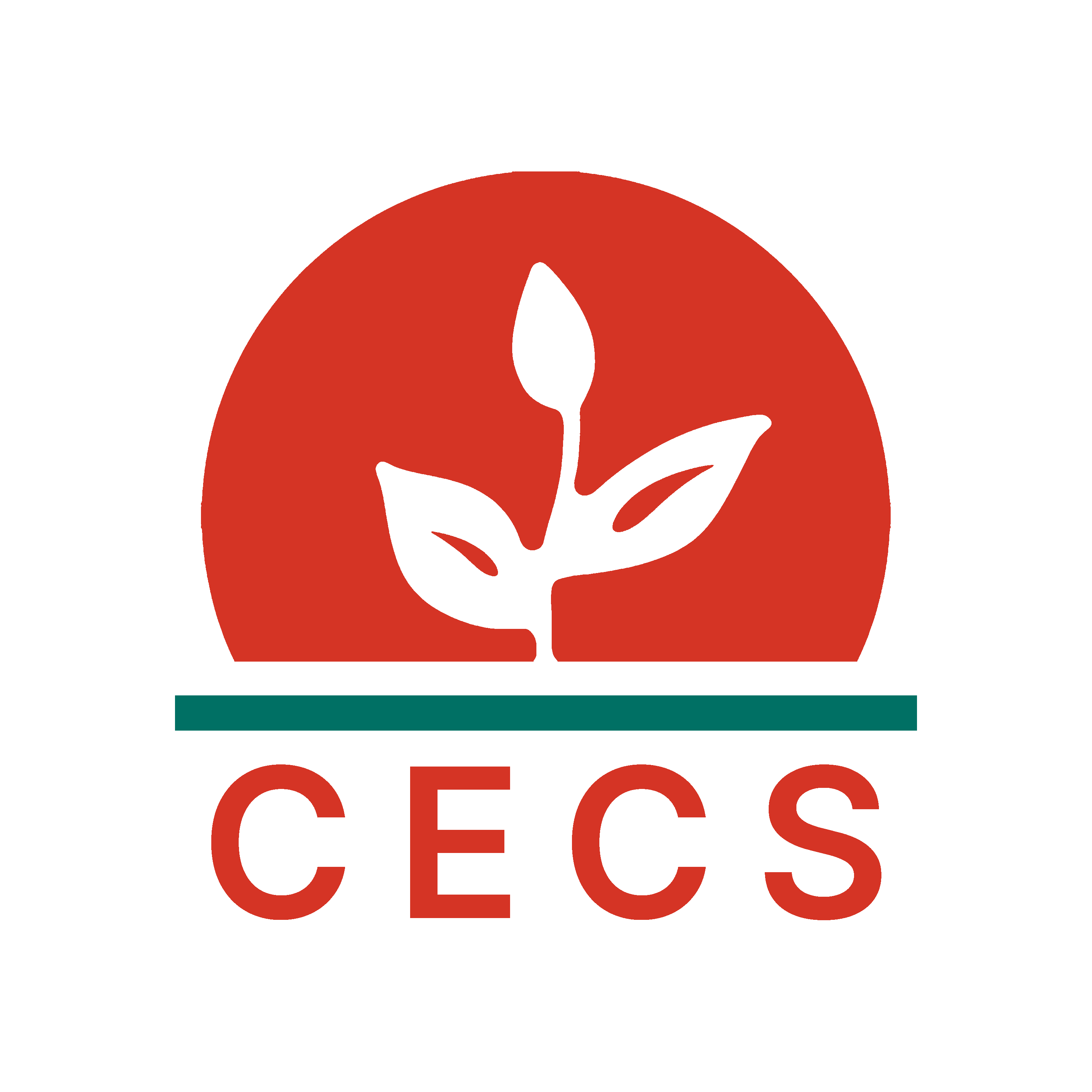 Logo del Centro de Estudios Conciencia y Sintesis